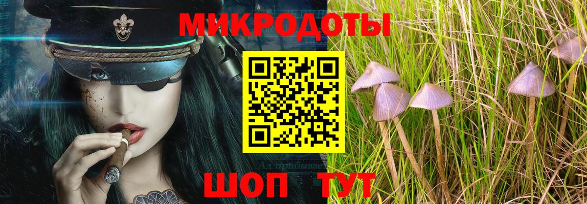 Псилоцибиновые грибы прущие грибы Елец